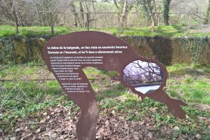 Sentier d'interprétation de Stang Luzigou, le petit baigneur