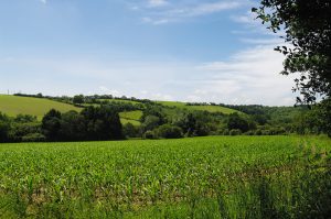 Plonéis Landschaft