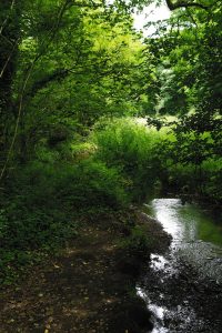 Plonéis river Goyen