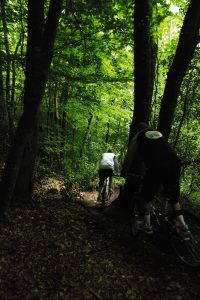 Paseo en bicicleta de montaña por el Bois du Nevet en Plogonnec