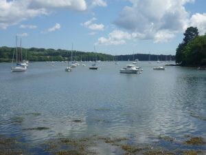 The banks of the Odet at Plomelin