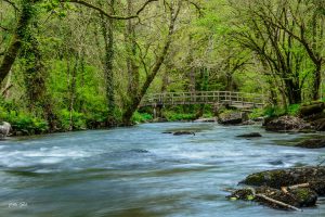 Das Naturgebiet Stangala am Ufer des l'Odet