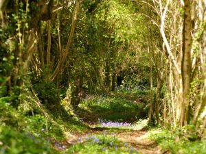 Walking tour in the Glazik country