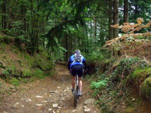 Mountain bike trail in the commune of Landudal