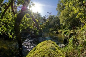 odet stangala gorges quimper