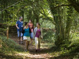 Family walk in the Quimper area