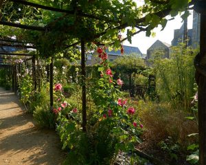 jardin-du-prieure-locmaria-quimper-foto-bernard-galeron-2-2