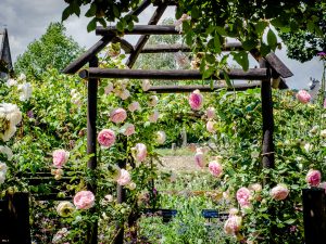 garten-des-priesterhauses-von-locmaria-quimper-foto-stadt-de-quimper