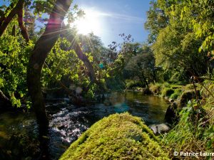 le-stangala-photo-Patrice-Laurent