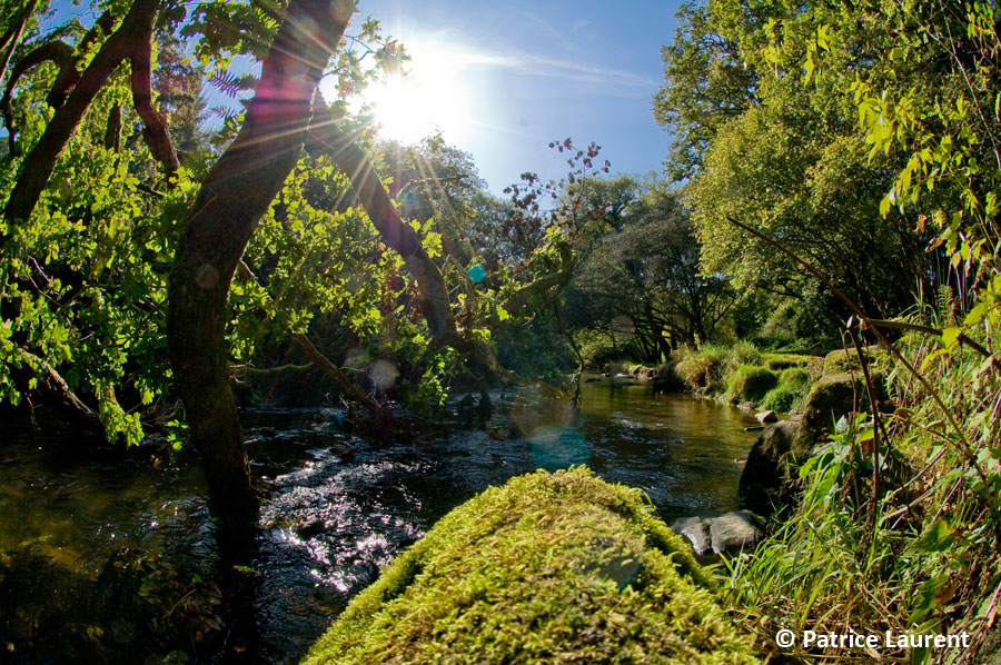 le-stangala-photo-Patrice-Laurent