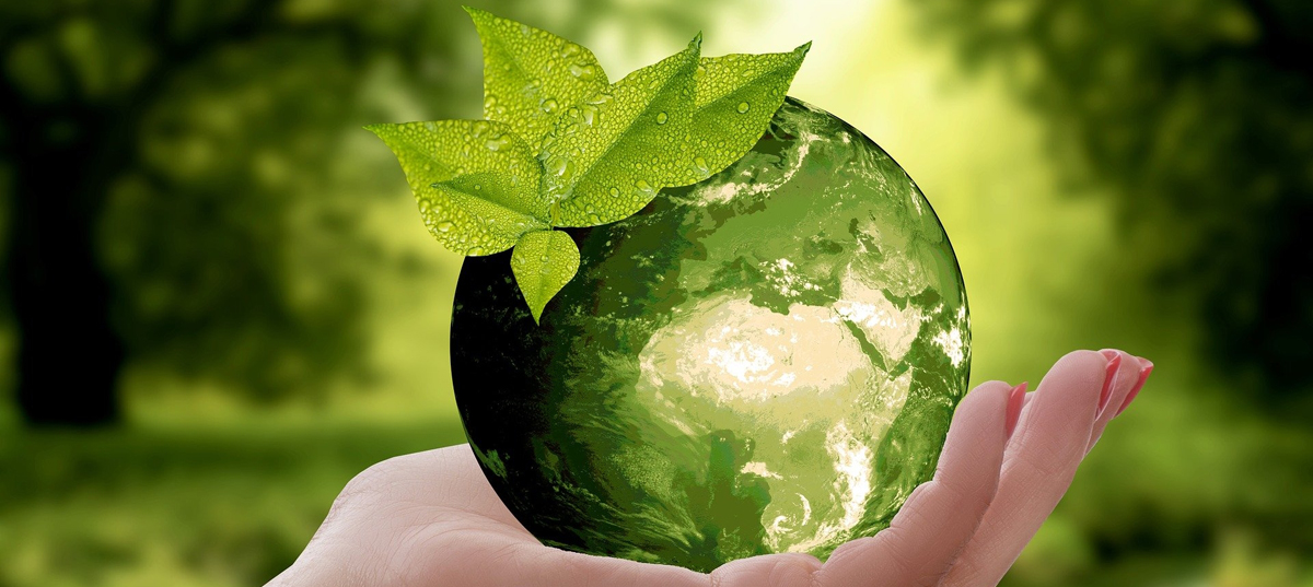 nature-voyageons-responsable