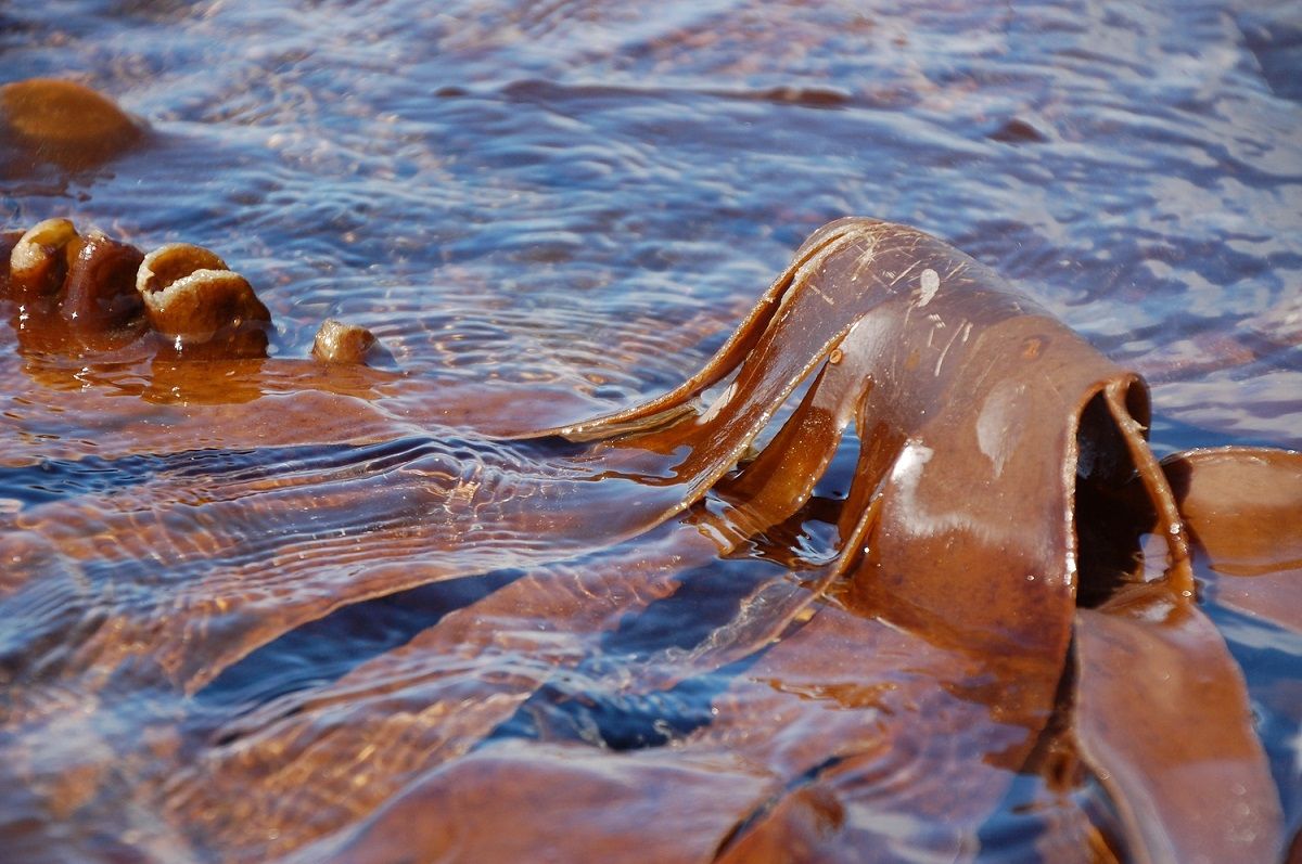 Expo photographies maritimes Gwenaëlle Lebret - 06-24.05.25