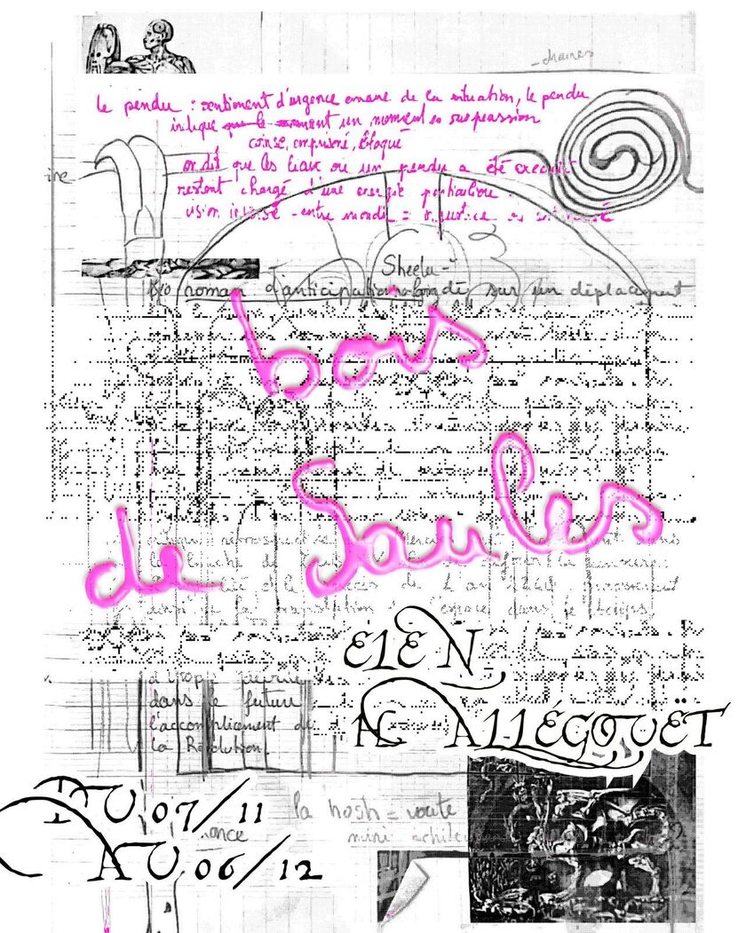 Bois du saules