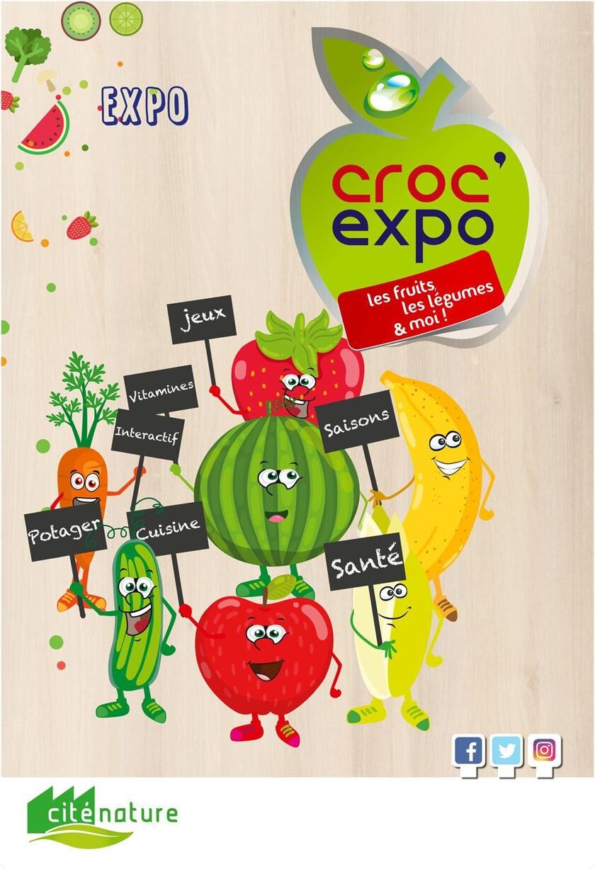 CROC EXPO PLUGUFFAN