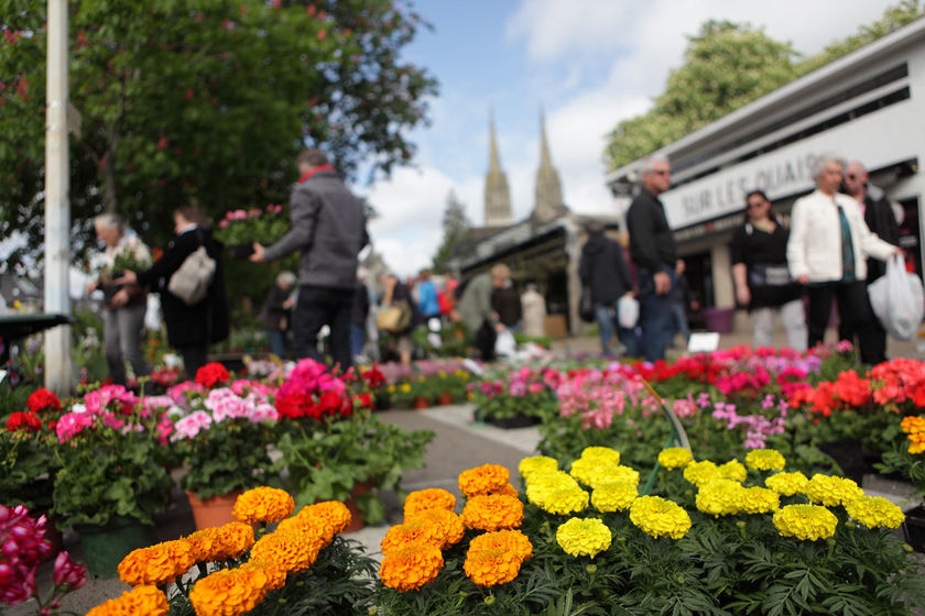 Marché de la fleur d'été 27.04